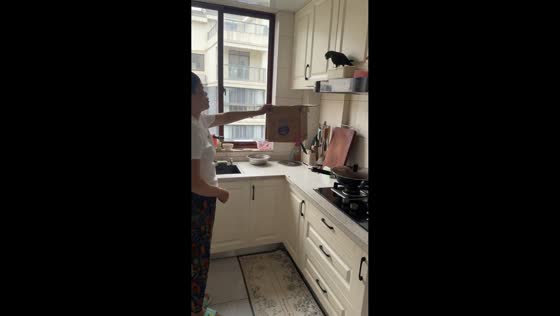 Bird flies into home and startles family in unexpected kitchen encounter in Zhejiang, China