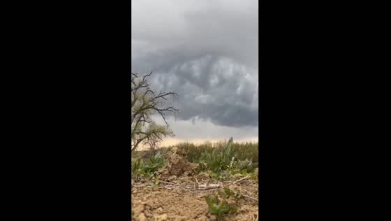 Captivating turbulence: unveiling the dynamics of a thunderstorm