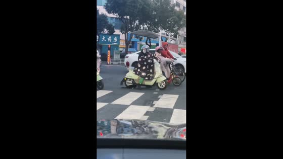 Injured stray cat rescued from road in Jiangsu, China