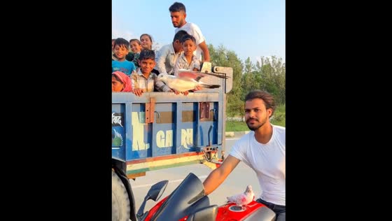Riding a motorbike with pigeons in Haldwani, Uttarakhand