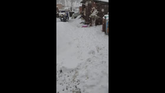 Snow-covered backyard transforms into a winter wonderland in Heilongjiang, China