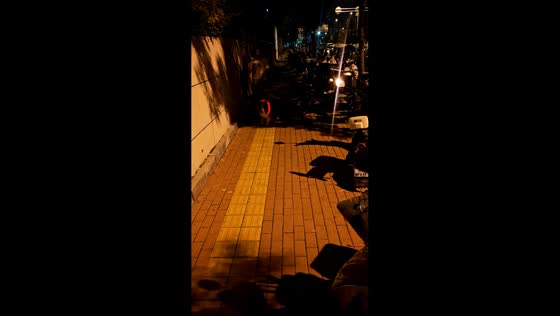 Dog with injured paw hops along street and barks at passerby in Beijing, China
