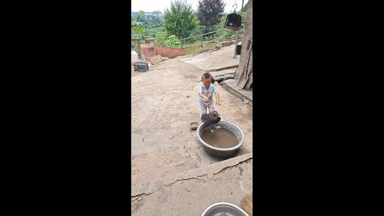 Child helps ducks take a bath in Guizhou, China