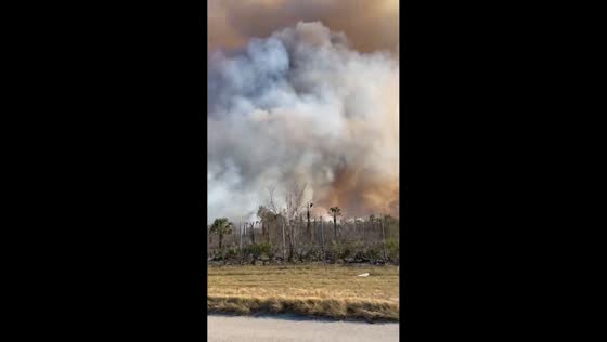 Massive wildfire sends thick smoke over I-75 near Naples in Collier, Florida, USA