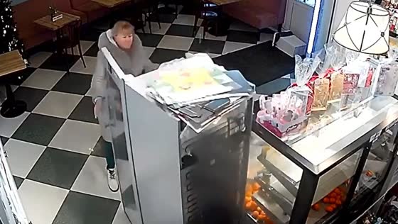 Woman causes destruction in Moscow region café and children's center 