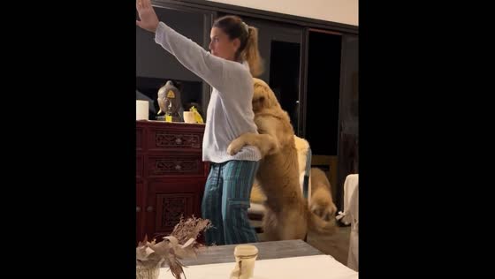 Dancing duo: imitating TV dance moves with a dog in Pando, Uruguay