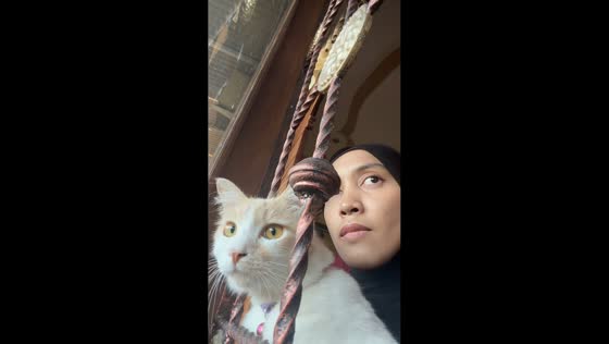 Cat and owner hilariously follow the same view in Kuningan, Indonesia