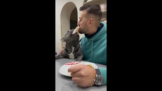 Man's best bite: sharing a meal with an overeager pup