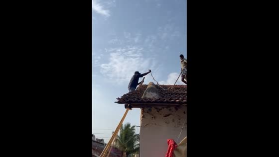Rat snake removed from house roof in Hubballi, Karnataka, India