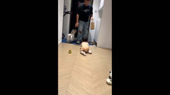 Baby and dog excitedly welcome dad home in Anhui, China