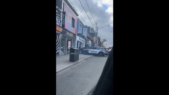 Police corner stolen truck after collision with horse and vehicles in Toronto