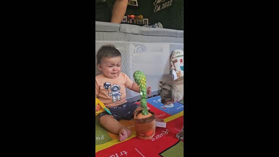 Child cries at talking cactus toy in San Luis Obispo, California