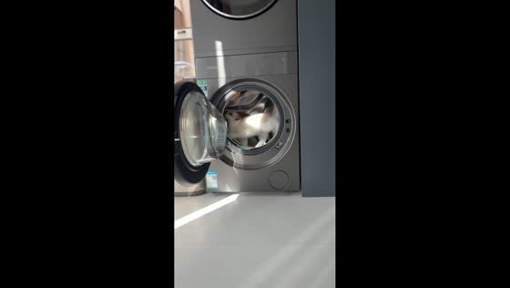 Cat uses spinning washing machine like a running wheel in Jiangsu, China