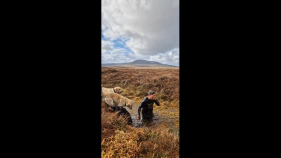 Person jumps into swamp in Swanlinbar, Ireland, leaving dogs confused