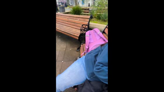 Pigeon swoops toward food during park snack in Valdivia, Chile