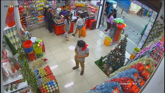 Dog tries to steal Spider-Man toy on shelf in Ayacucho, Peru