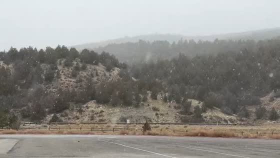Snowy morning near Soldier Summit in Utah, USA