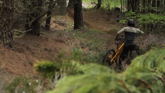 Matías Amand overcomes adversity: cyclist's grit shines in forest fall