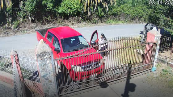 Car rolls into gate as driver steps out in Curicó