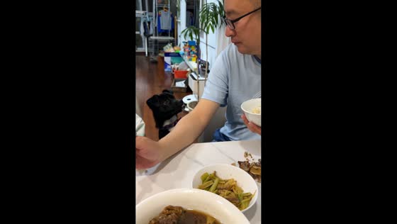 Dog begs for food by leaning on man in Liaoning, China