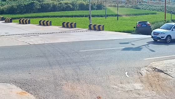 Car ends up in bushes after failed turn in China