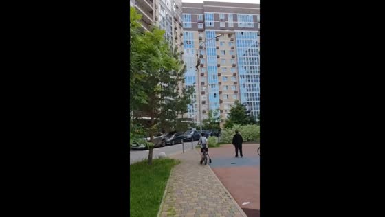 Man rescues crow stuck in Moscow pole