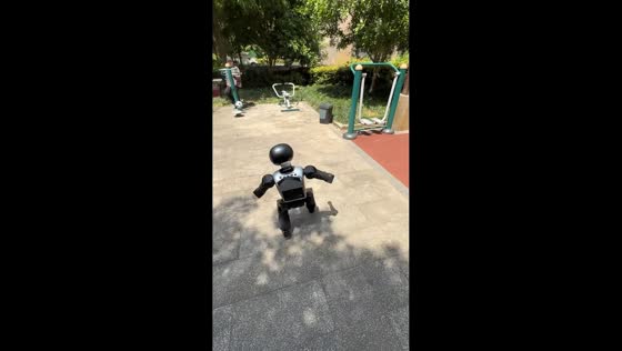 Robot kicks football toward elderly woman in Zhejiang, China