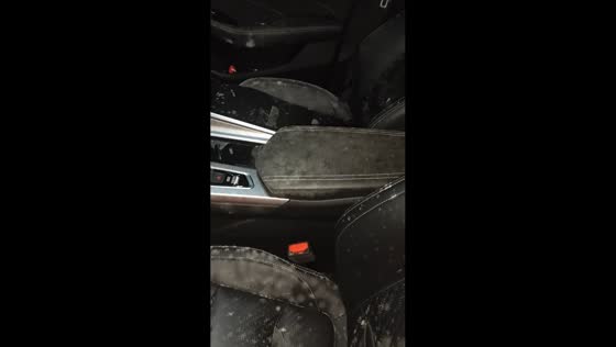 Car interior covered in mold after 34 days in garage in Zhejiang, China