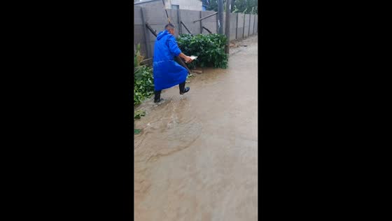 Man catches fish while walking through flooded road in Henan, China