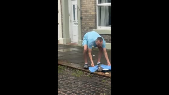Baby seagull rescued from street by kind passerby in Carlisle, England, UK