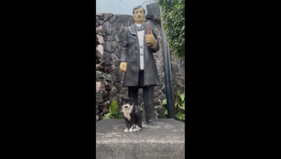 Cat poses beside Rizal statue in Quezon City, Philippines