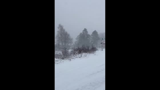 Intense Nor’easter reduces visibility and blankets Newfoundland, Canada