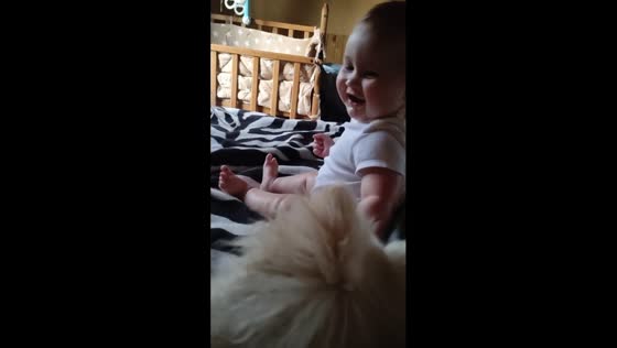 Joyful moments: dog Peach delights baby Misha with a playful sneeze in Minsk