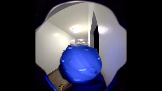 Granddaughter surprises grandmother via Ring doorbell in New York, USA