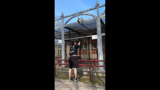 Cat climbs down from enclosure after rescue attempt in Grodno Zoo, Belarus
