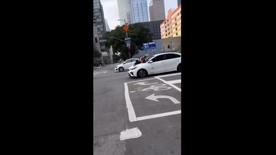 Dog kidnapping chaos: brave woman takes stand on moving car in Los Angeles