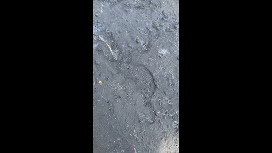Scorching heatwave makes asphalt appear to melt in Aiara, Spain