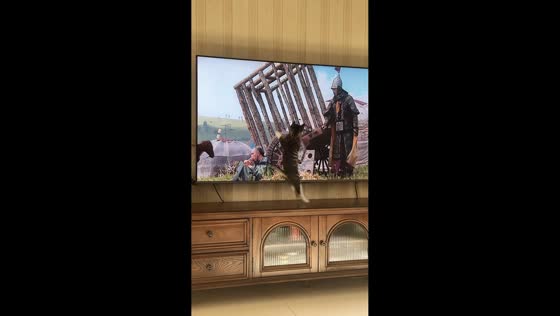 Pet cat pounces on TV characters in Beijing, China