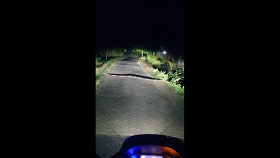 Huge snake spotted crossing street in Randublatung, Indonesia