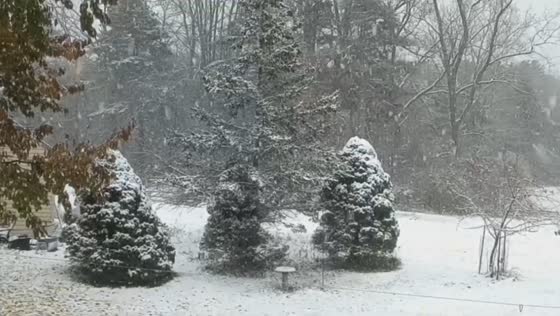 Steady snowfall blankets Orchard Park, New York, USA