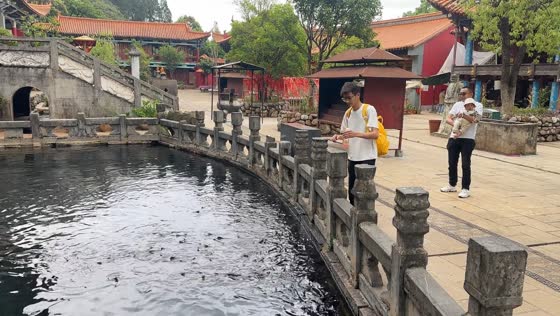 Man tricks fish with fake feeding gestures in Yunnan, China