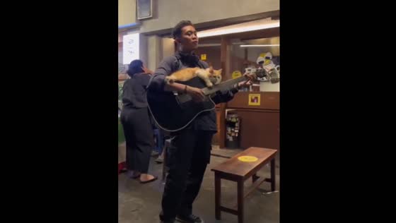 Street musician performs with pet cat in Jakarta, Indonesia