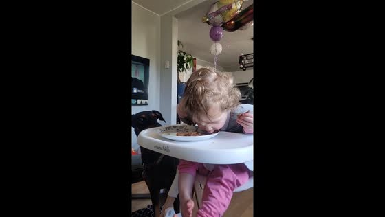 Child eats straight from plate, ignoring dog's expectant gaze