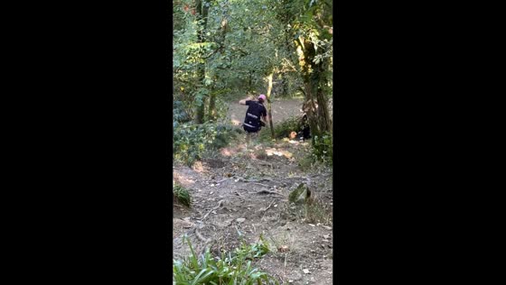 Forest tour mishap in Normandy, France