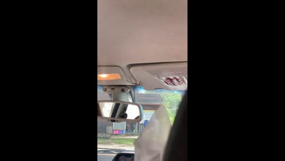 Spider surprises passengers inside car in Salta, Argentina
