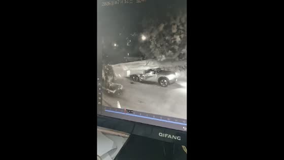 Falling tree crushes moving car during storm in Shandong, China