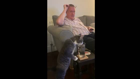 Cat drinks from glass as surprised owner looks on in Liverpool, United Kingdom