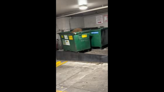 Bear caught eating inside dumpster in Aspen, USA