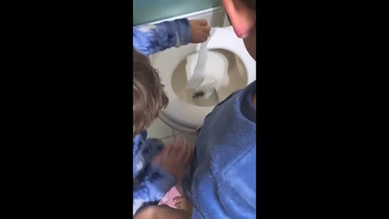 Little boy gives pet fish a quick goodbye down the toilet in São Paulo, Brazil