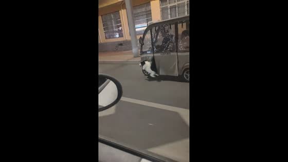 Dog hilariously runs alongside e-bike while half-riding in Henan, China